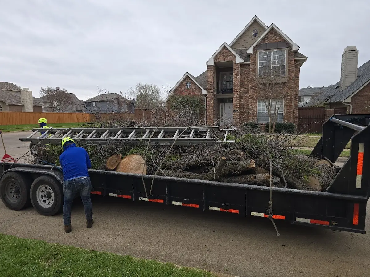 Expert Tree Pest Control with proper safety equipment in Ozawkie